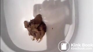 Beautiful blonde shitting in the toilet