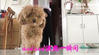 Japanese girl shitting white standing  infront of her neighbor