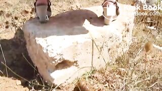 Big turd in nature - Pooping, pissing girls and scat porn vi