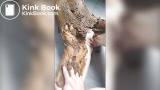 Latest Video Teaser