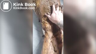 Latest Video Teaser