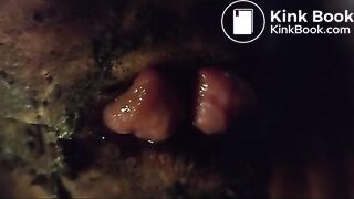 universum_coprofagis