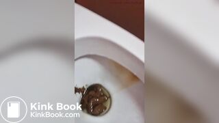 Public Toilet