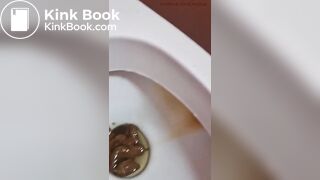 Public Toilet