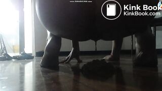 S4lom3 - Gassy Farting Poo & Squirt Off