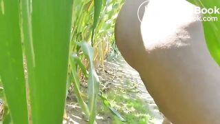 Wife shitting