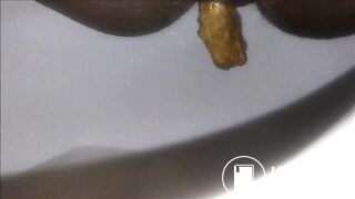 Ebony milf shitting closeup in the toilet