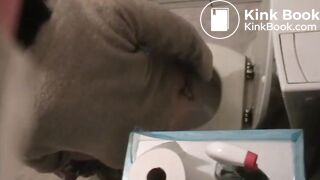 Pissing and pooping spycam compilation