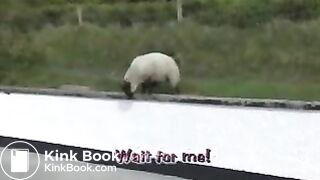 Kaz huge enema cleanse