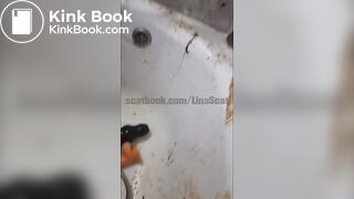 Behind the scenes with maggots