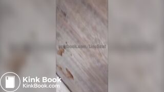 Behind the scenes with maggots