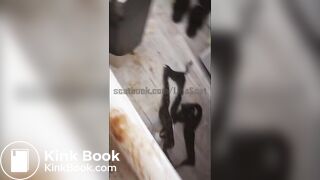 Behind the scenes with maggots