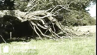 lucy_country1