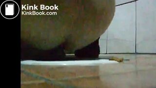 Toilet Poop Voyeur Steals two womens poop - ThisVidcom