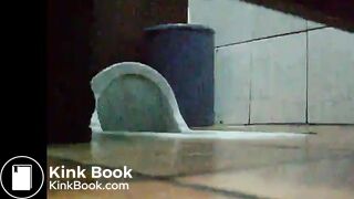 Toilet Poop Voyeur Steals two womens poop - ThisVidcom