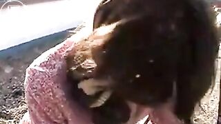 So haben deutsche Vagabunden Spaß!