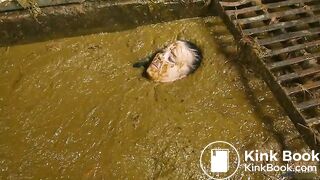 Betty completely submerges in cowshit