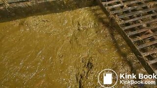 Betty completely submerges in cowshit