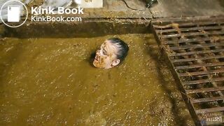 Betty completely submerges in cowshit