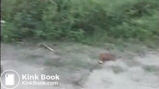 video302