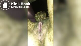 3 Loads of Shit Teaser