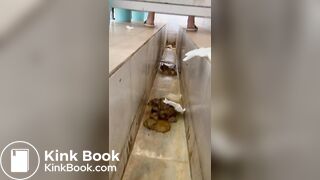 chinese ditch toilet diarrhea