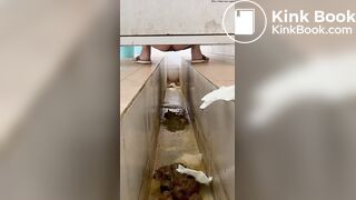 chinese ditch toilet diarrhea