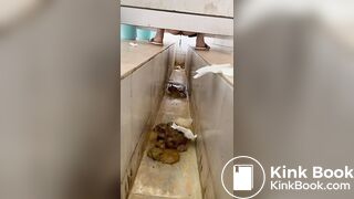 chinese ditch toilet diarrhea