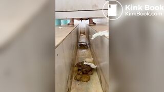 chinese ditch toilet diarrhea
