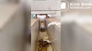 chinese ditch toilet diarrhea