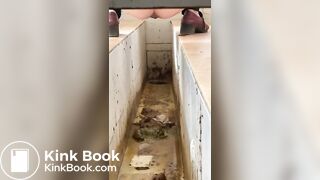 Chinese ditch toilet scat