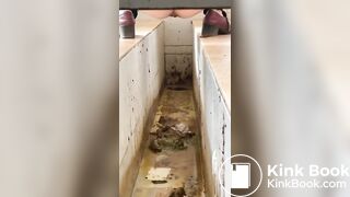 Chinese ditch toilet scat