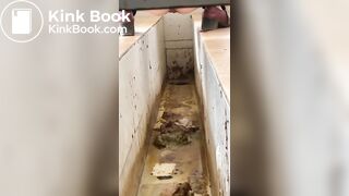Chinese ditch toilet scat