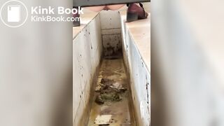 Chinese ditch toilet scat