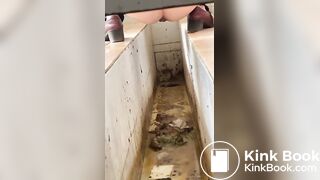 Chinese ditch toilet scat