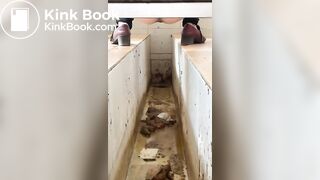 Chinese ditch toilet scat