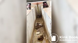 Chinese ditch toilet scat