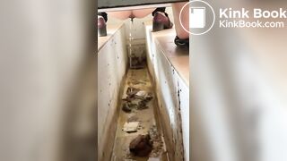 Chinese ditch toilet scat
