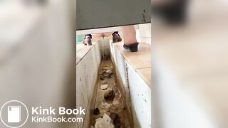 Chinese ditch toilet scat
