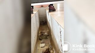 Chinese ditch toilet scat
