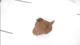 Mature brunette shitting on the bathroom floor standing up