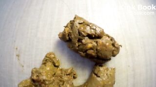 Worship My Stinking Hole