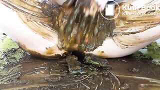big poop mess pt 2