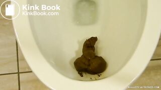 shits in wc