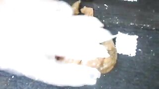 Generic title - video 2 - ThisVidcom