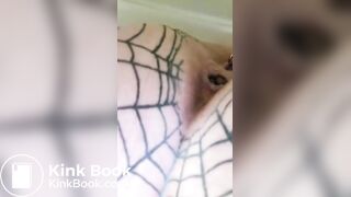 P S 12 18 21_TURTLE2