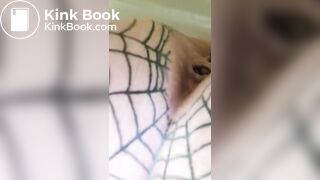 P S 12 18 21_TURTLE2