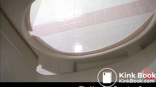 Toilet Bowlcam 950