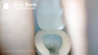 poop princess3s toilet