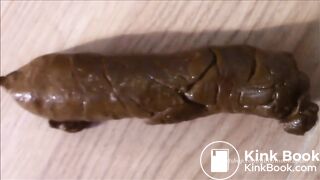 Recovered_mp4_file(4708)